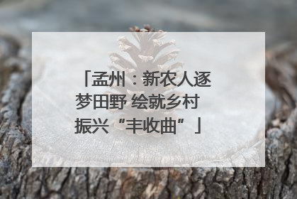 孟州：新农人逐梦田野 绘就乡村振兴“丰收曲”