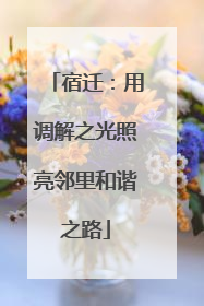 宿迁：用调解之光照亮邻里和谐之路