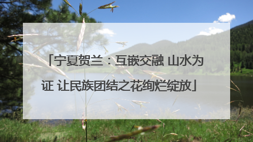 宁夏贺兰：互嵌交融 山水为证 让民族团结之花绚烂绽放