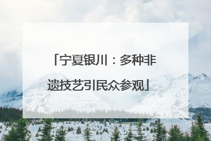 宁夏银川：多种非遗技艺引民众参观
