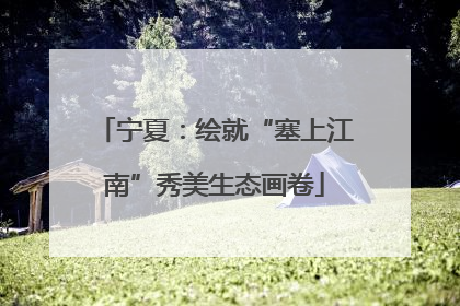 宁夏：绘就“塞上江南”秀美生态画卷
