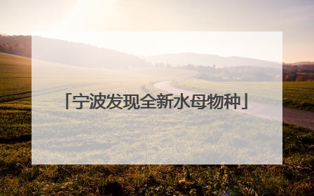 宁波发现全新水母物种