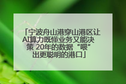 宁波舟山港穿山港区让AI算力既懂业务又能决策 20年的数据“喂”出更聪明的港口