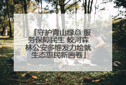守护青山绿意 服务保障民生 蛟河森林公安多维发力绘就生态惠民新画卷