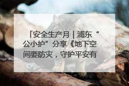 安全生产月｜浦东“公小护”分享《地下空间要防灾，守护平安有我在》安全谣