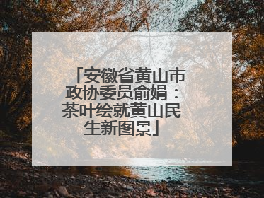 安徽省黄山市政协委员俞娟：茶叶绘就黄山民生新图景