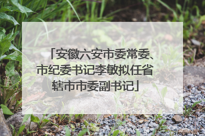 安徽六安市委常委、市纪委书记李敏拟任省辖市市委副书记