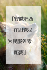 安徽肥西：在职党员为民服务零距离