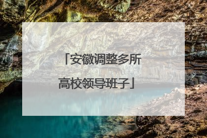 安徽调整多所高校领导班子