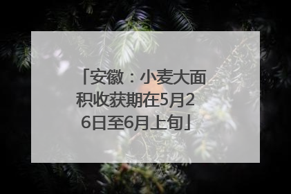 安徽：小麦大面积收获期在5月26日至6月上旬