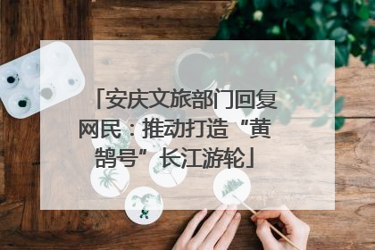安庆文旅部门回复网民：推动打造“黄鹄号”长江游轮