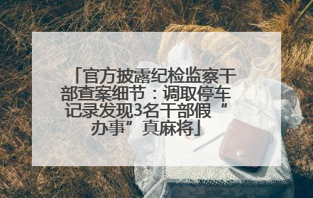 官方披露纪检监察干部查案细节：调取停车记录发现3名干部假“办事”真麻将