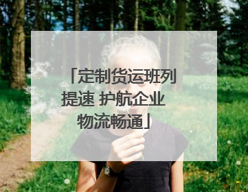 定制货运班列提速 护航企业物流畅通