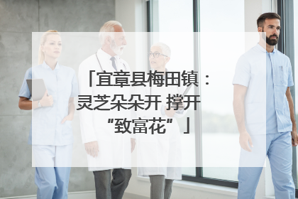 宜章县梅田镇：灵芝朵朵开 撑开“致富花”