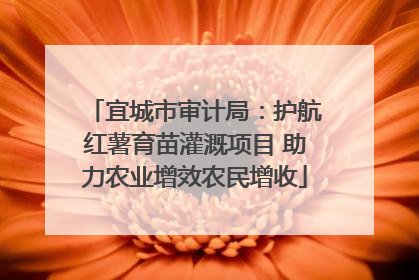 宜城市审计局：护航红薯育苗灌溉项目 助力农业增效农民增收