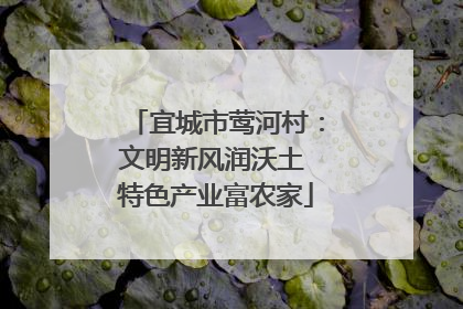 宜城市莺河村：文明新风润沃土 特色产业富农家