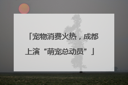 宠物消费火热，成都上演“萌宠总动员”
