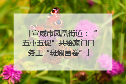 宣威市凤凰街道：“五重五促”共绘家门口务工“斑斓画卷”