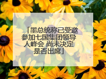 墨总统称已受邀参加七国集团领导人峰会 尚未决定是否出席