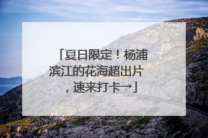 夏日限定！杨浦滨江的花海超出片，速来打卡→