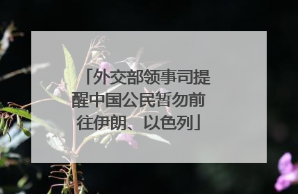 外交部领事司提醒中国公民暂勿前往伊朗、以色列