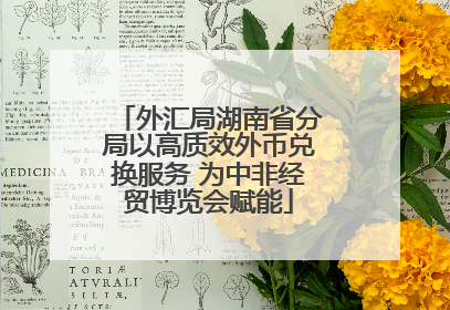 外汇局湖南省分局以高质效外币兑换服务 为中非经贸博览会赋能