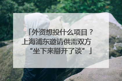 外资想投什么项目？上海浦东邀请供需双方“坐下来掰开了谈”