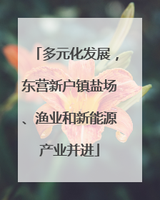 多元化发展，东营新户镇盐场、渔业和新能源产业并进