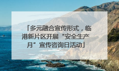 多元融合宣传形式，临港新片区开展“安全生产月”宣传咨询日活动