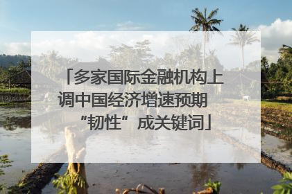 多家国际金融机构上调中国经济增速预期 “韧性”成关键词