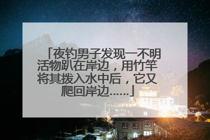 夜钓男子发现一不明活物趴在岸边，用竹竿将其拨入水中后，它又爬回岸边……