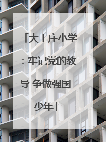 大王庄小学：牢记党的教导 争做强国少年