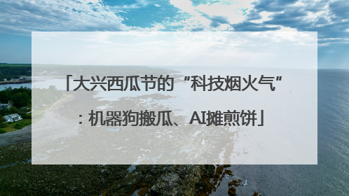 大兴西瓜节的“科技烟火气”：机器狗搬瓜、AI摊煎饼