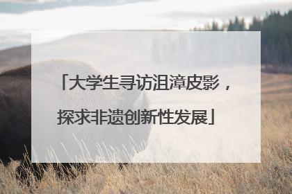 大学生寻访沮漳皮影，探求非遗创新性发展