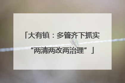 大有镇：多管齐下抓实“两清两改两治理”