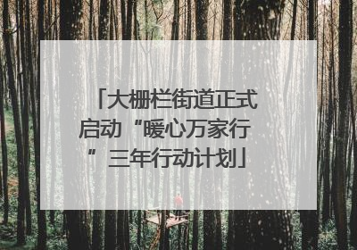 大栅栏街道正式启动“暖心万家行”三年行动计划