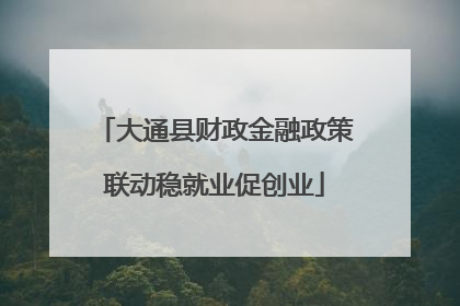 大通县财政金融政策联动稳就业促创业