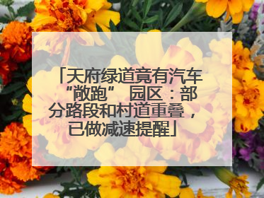 天府绿道竟有汽车“敞跑” 园区：部分路段和村道重叠，已做减速提醒