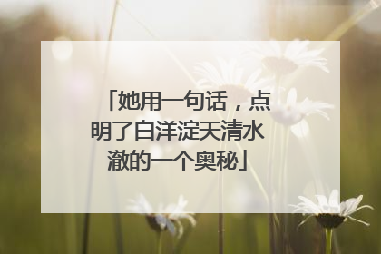 她用一句话，点明了白洋淀天清水澈的一个奥秘