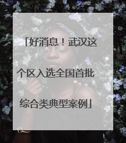 好消息！武汉这个区入选全国首批综合类典型案例