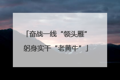奋战一线“领头雁” 躬身实干“老黄牛”