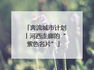 奔流城市计划丨河西走廊的“紫色名片”