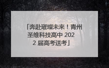 奔赴璀璨未来！青州圣维科技高中 2022 届高考送考