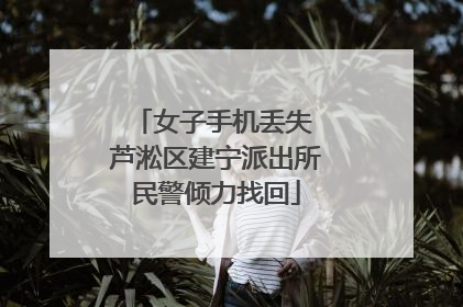 女子手机丢失 芦淞区建宁派出所民警倾力找回