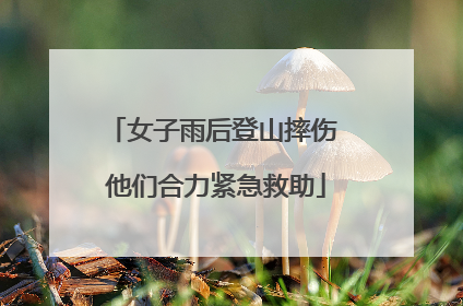 女子雨后登山摔伤 他们合力紧急救助