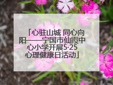 心驻山城 同心向阳——宁国市仙霞中心小学开展5·25心理健康日活动