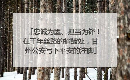 忠诚为墨、担当为锋！在千年丝路的褶皱处，甘州公安写下平安的注脚