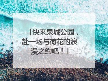 快来泉城公园，赴一场与荷花的浪漫之约吧！