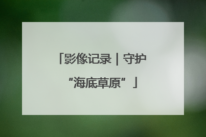 影像记录｜守护“海底草原”