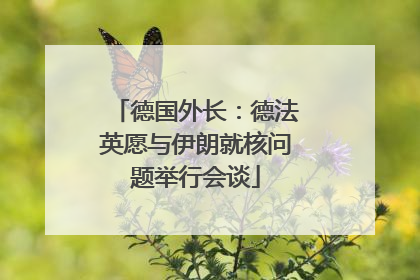 德国外长：德法英愿与伊朗就核问题举行会谈